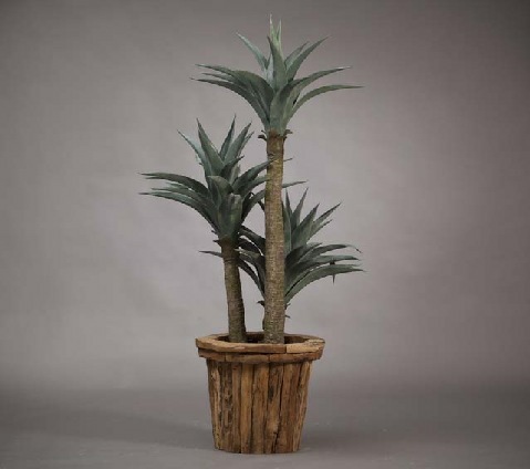 עציץ כפיסי עץ