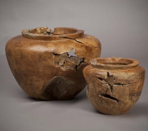 ואזה שורש טיק