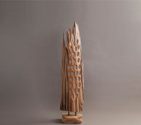 פסל Amazon 1 פסל Amazon